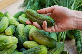 Co się stanie, jeśli będziesz jadł ogórki? Zmiany są zauważalne już przy 1 sztuce dziennie