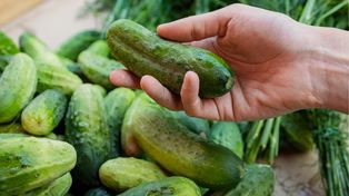Co się stanie, jeśli będziesz jadł ogórki? Zmiany są zauważalne już przy 1 sztuce dziennie