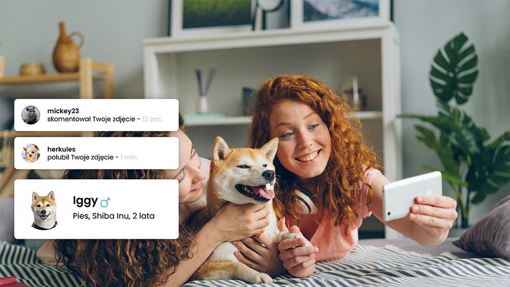 Petgram to polski "Instagram dla zwierząt". Ale w aplikacji chodzi o coś więcej niż słodkie zdjęcia 1