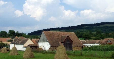 Do 100 tys. zł na działalność pozarolniczą na wsi