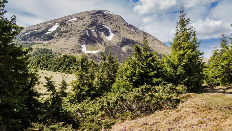 Góra Petros w ukraińskich Karpatach
