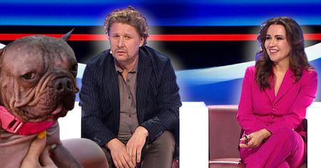 Jak ci pójdzie w nowym teleturnieju TVP? Rozwiąż QUIZ i sprawdź, czy jesteś mądrzejszy od gwiazd!