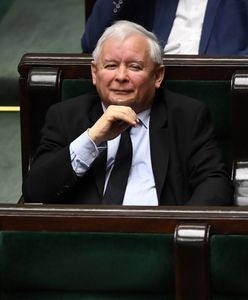 Newsroom. Program specjalny WP