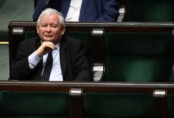 Newsroom. Program specjalny WP