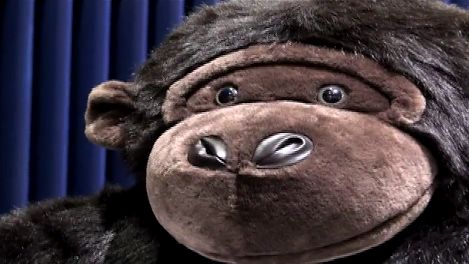 IFA 2011: Hannspree, czyli jak przerobić małpę na telewizor 1