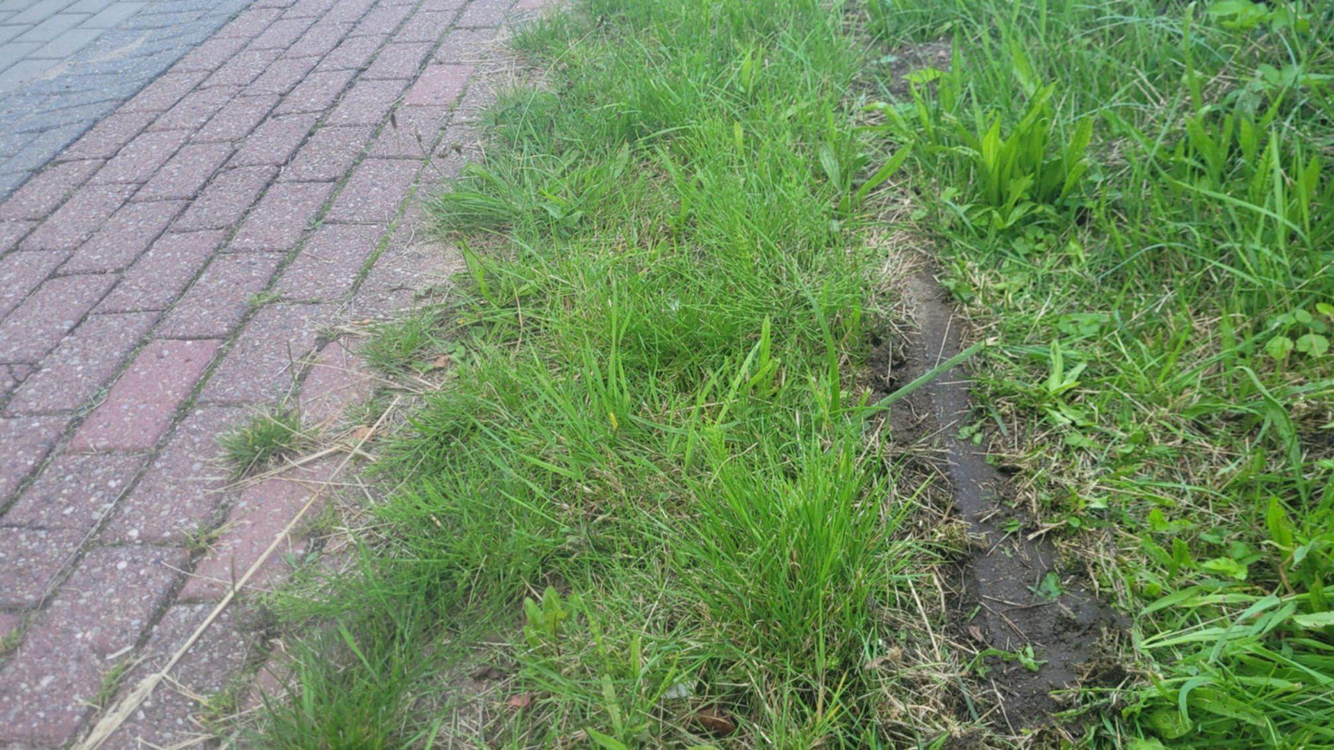 Ścieżki rowerowe w Koszalinie