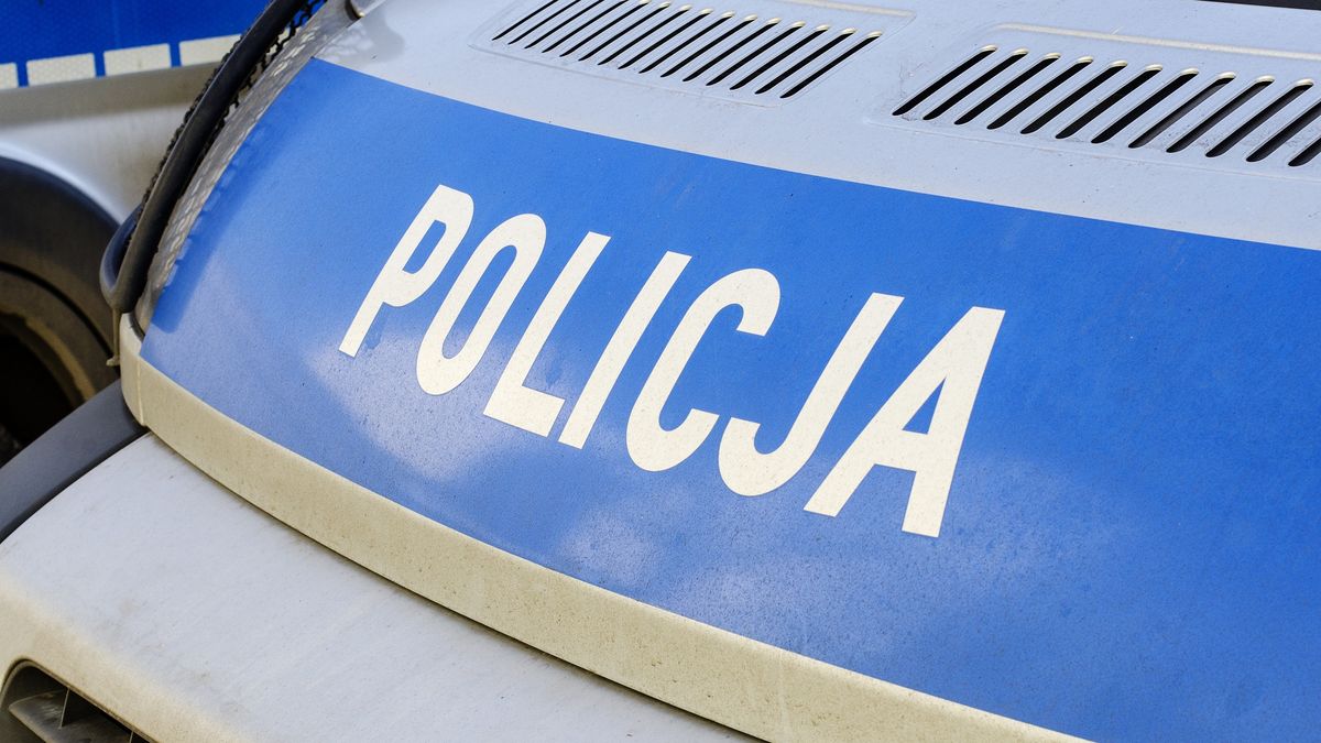 Kobieta zmuszała psa do innej czynności seksualnej