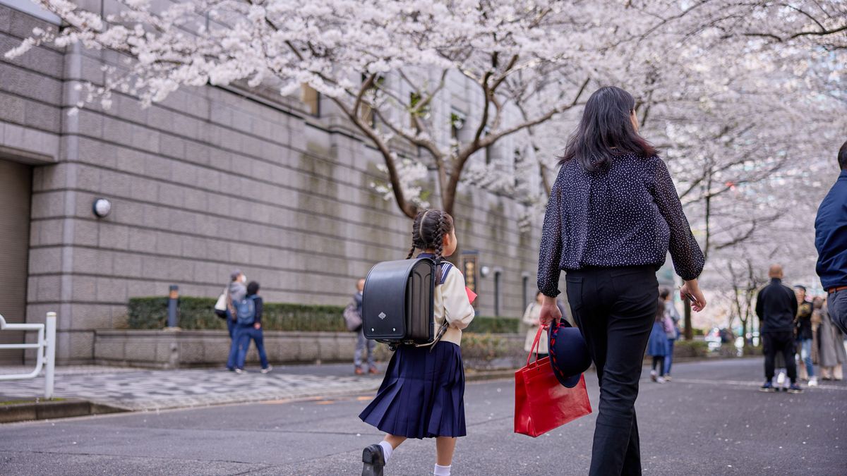A student carrying a 'randoseru' backpack walks under a cherry tree in Tokyo, Japan, on Sunday, April 7, 2024. Cherry blossom season can be a perennial tourism boom for the Japanese cities that host the trees. But that gets harder with less reliable predictions. Photographer: Shoko Takayasu/Bloomberg via Getty Images