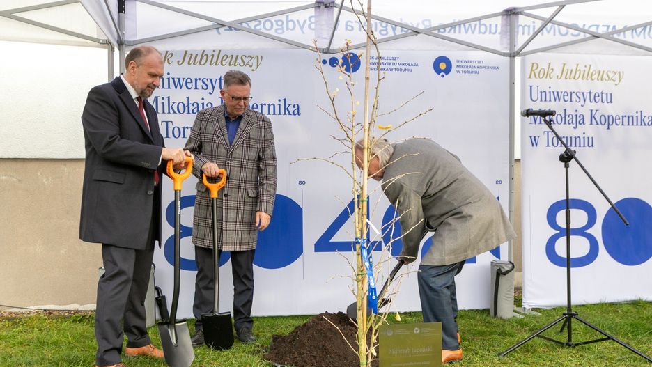 Miłorząb japoński posadzili wspólnie od lewej: prof. dr hab. Dariusz Grzanka, prorektor ds. Collegium Medicum UMK w Bydgoszczy, Zbigniew Ostrowski, wicemarszałek województwa kujawsko-pomorskiego oraz prof. dr hab. Andrzej Tretyn, rektor UMK w Toruniu.