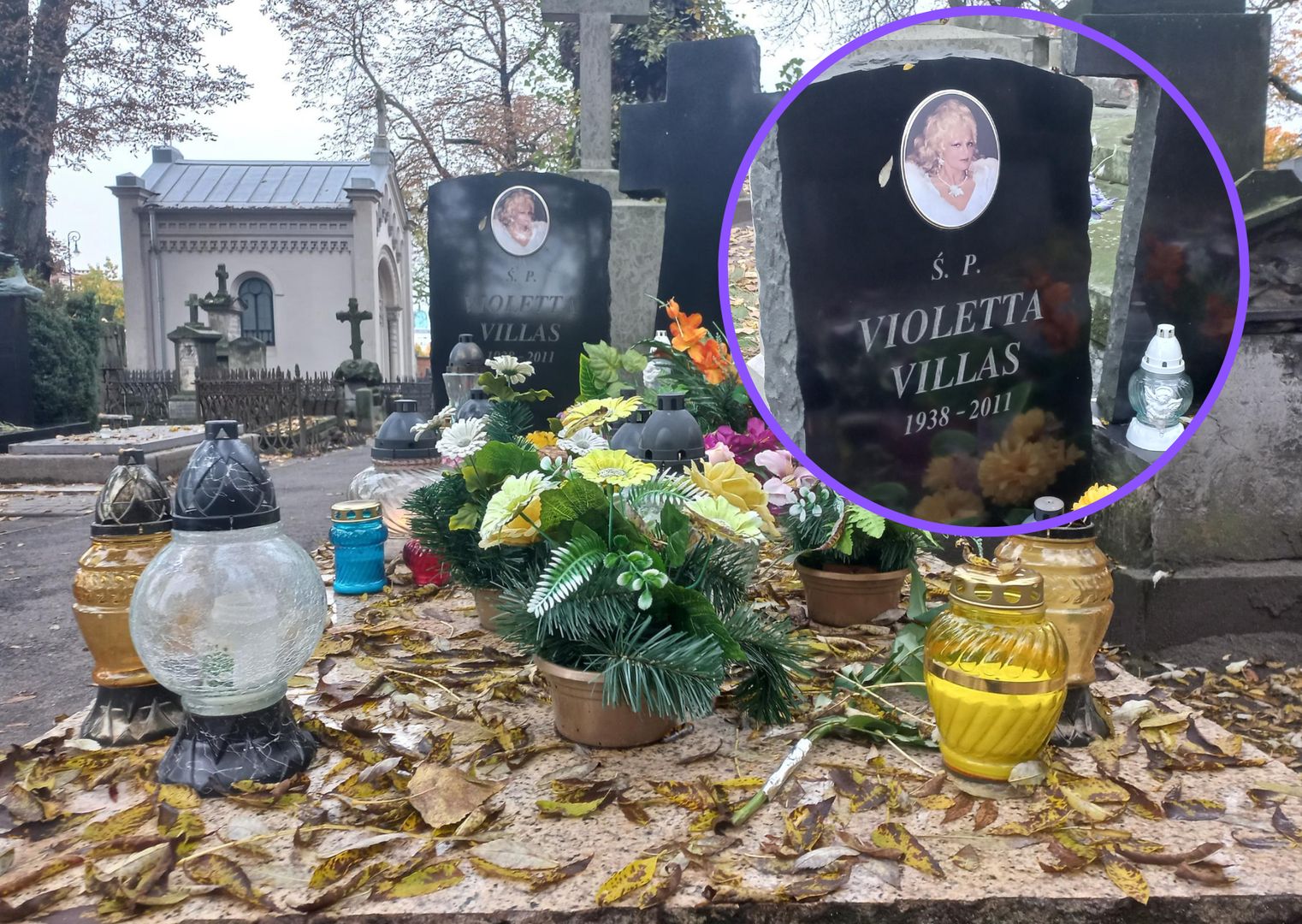 Poszliśmy na grób Violetty Villas. Kolor płyty nie jest przypadkowy