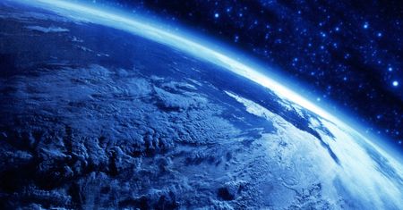 Świat bez owadów? Naukowcy mówią o katastrofalnej wizji
