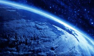 Świat bez owadów? Naukowcy mówią o katastrofalnej wizji