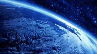 Świat bez owadów? Naukowcy mówią o katastrofalnej wizji