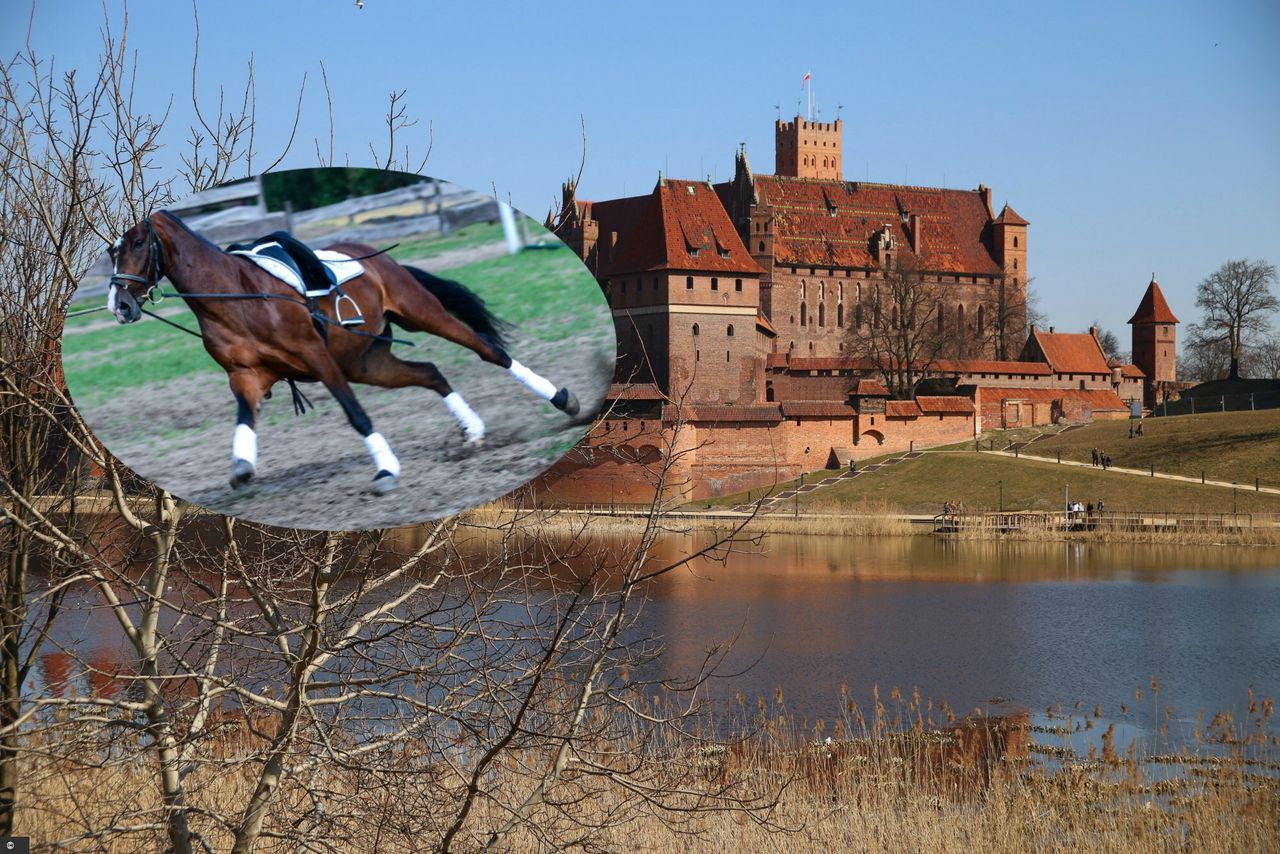 Malbork 