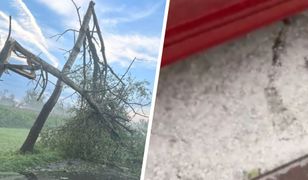 Żywioł dał o sobie znać w Małopolsce. Potężne gradobicie na nagraniach
