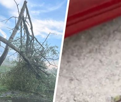 Żywioł dał o sobie znać w Małopolsce. Potężne gradobicie na nagraniach