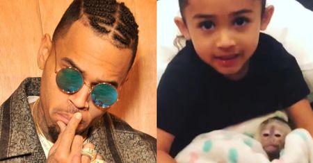 Chris Brown może trafić do więzienia! Za nielegalne posiadanie... małpy kapucynki (FOTO)