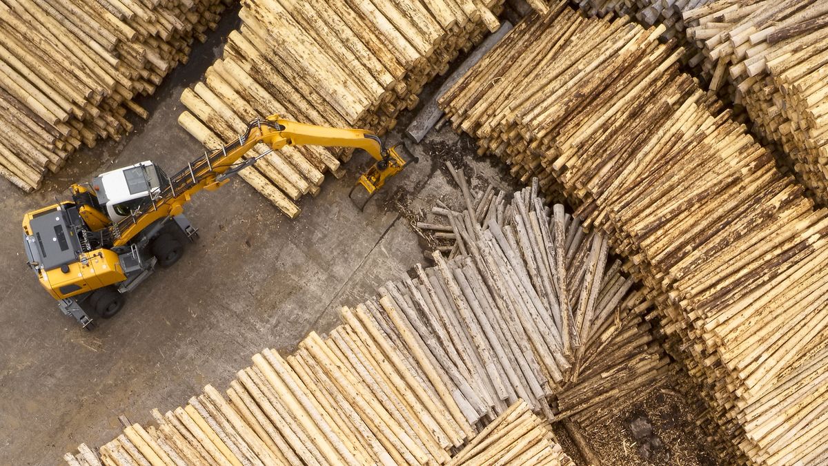 drewno tartak drewna