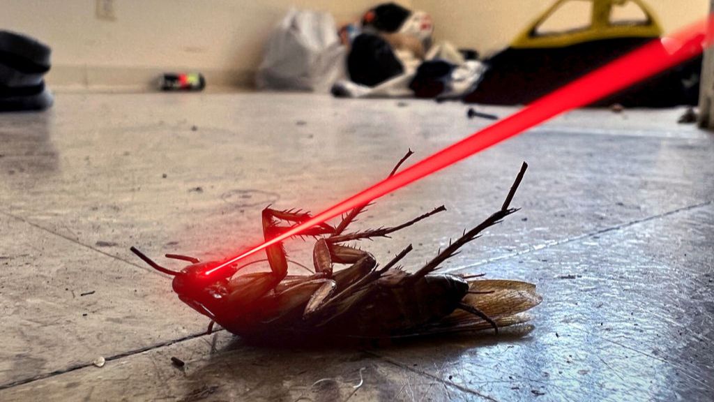 Naukowcy stworzyli laser do niszczenia karaluchów
