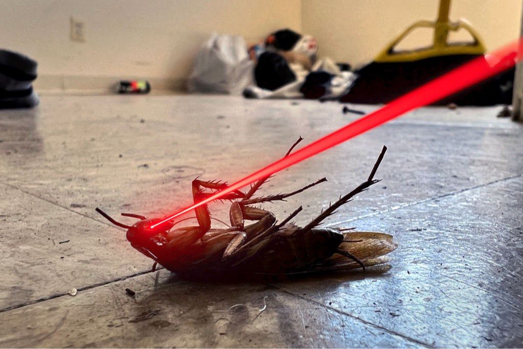 Naukowcy stworzyli laser do niszczenia karaluchów