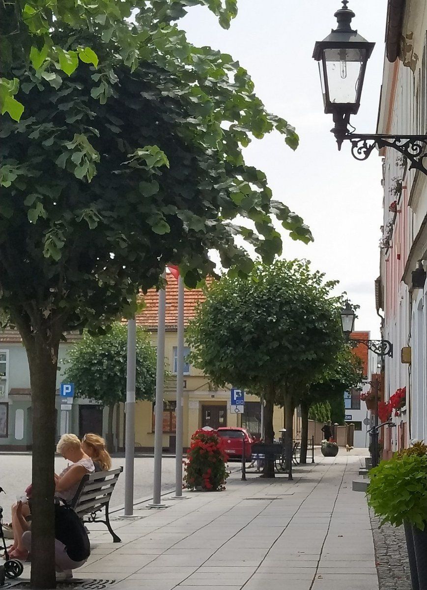 Rydzyna w powiecie leszczyńskim