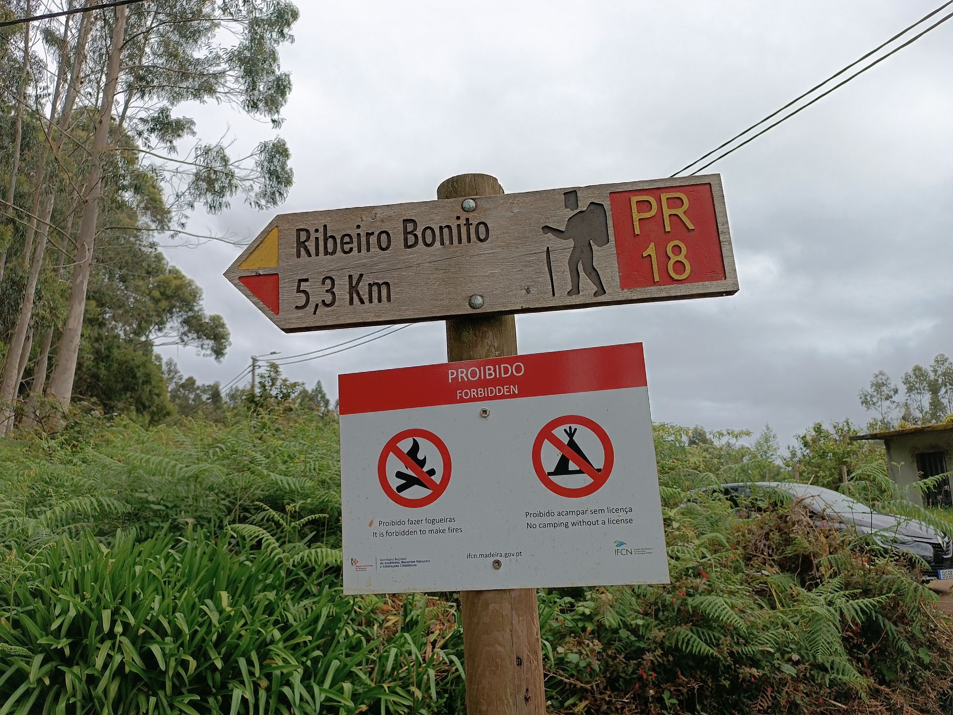 Levada do Rei