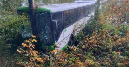 Dramat na drodze. Autobus z dziećmi zatrzymał się na drzewie