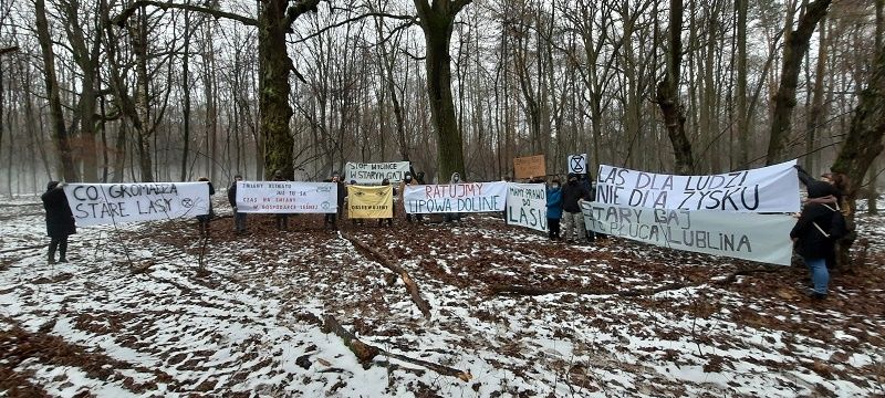 Aktywiści Extinction Rebellion Lublin (XR) domagają się zaprzestania wycinki drzew w Starym Gaju