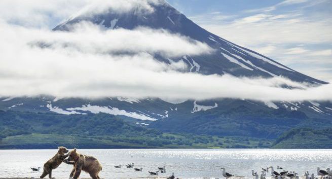 BBC pokazało prequel „Planety doskonałej”. Lektorem sir David Attenborough