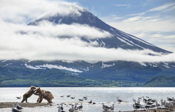 BBC pokazało prequel „Planety doskonałej”. Lektorem sir David Attenborough