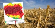 Pokazali mapę Polski. Niepokojące wieści. "Będzie narastać"