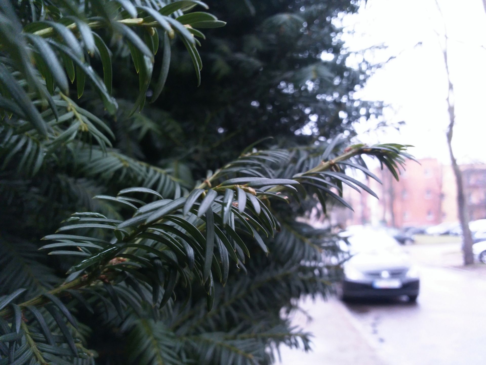 YotaPhone 2 - telefon o dwóch twarzach. Test i recenzja smartfona z ekranem E Ink 55