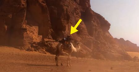 Wielbłąd z aparatem podróżuje po Arabii Saudyjskiej. Co to za akcja?