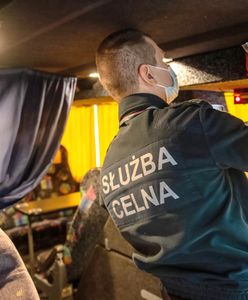 Prześwietlili autokar z Ukrainy. W podłodze była skrytka