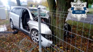 Zaborów: Opel uderzył w drzewo. Nie żyją dwie osoby
