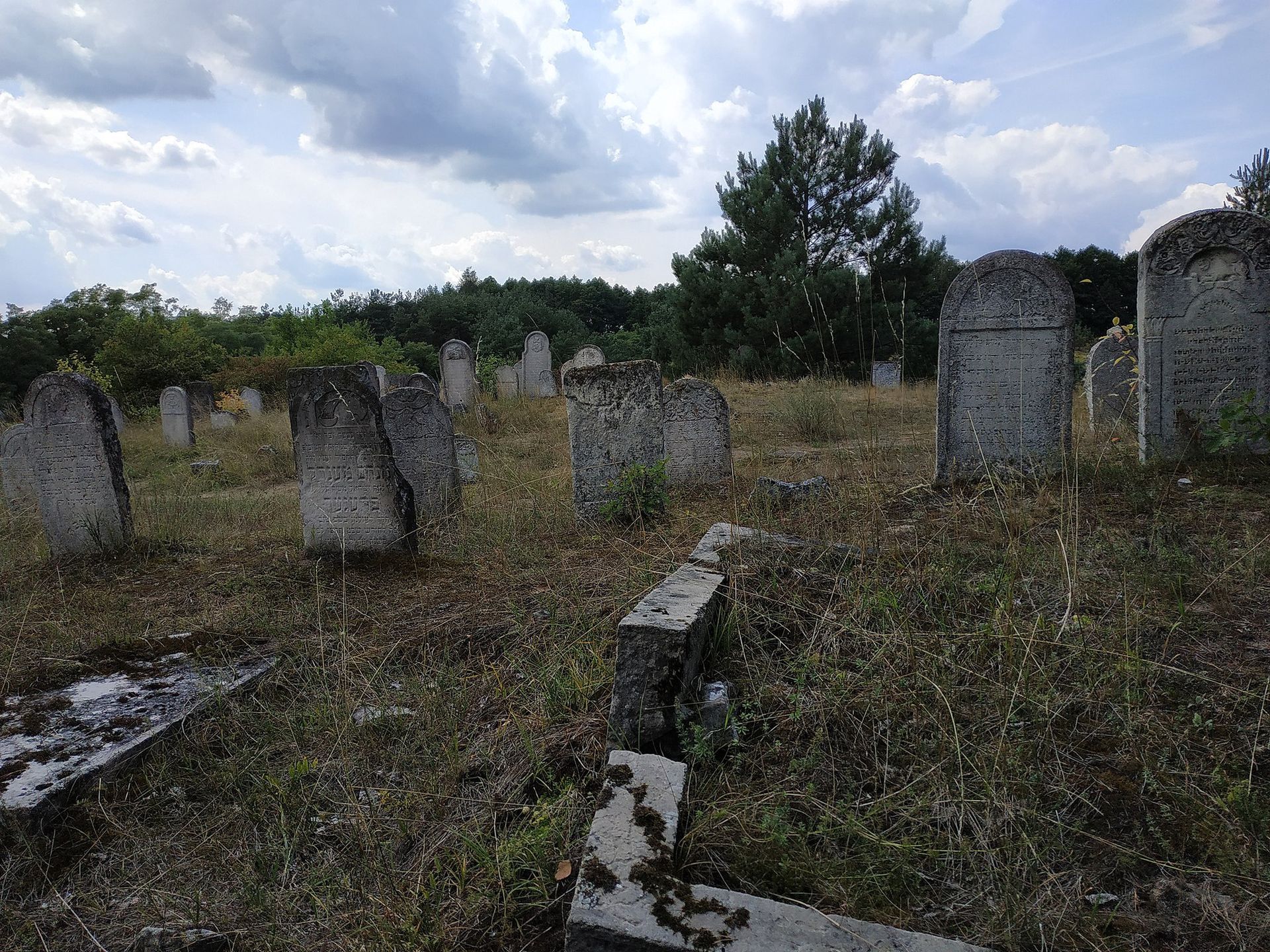 Cmentarz żydowski w Żarkach 