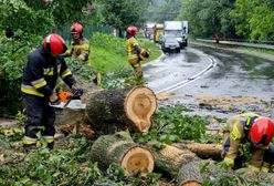 Wichura w Zielonej Górze. Konar spadł na starszą kobietę