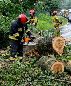 Wichura w Zielonej Górze. Konar spadł na starszą kobietę