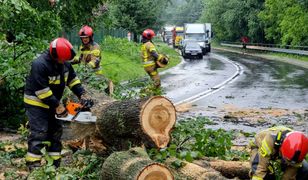 Wichura w Zielonej Górze. Konar spadł na starszą kobietę