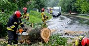 Wichura w Zielonej Górze. Konar spadł na starszą kobietę