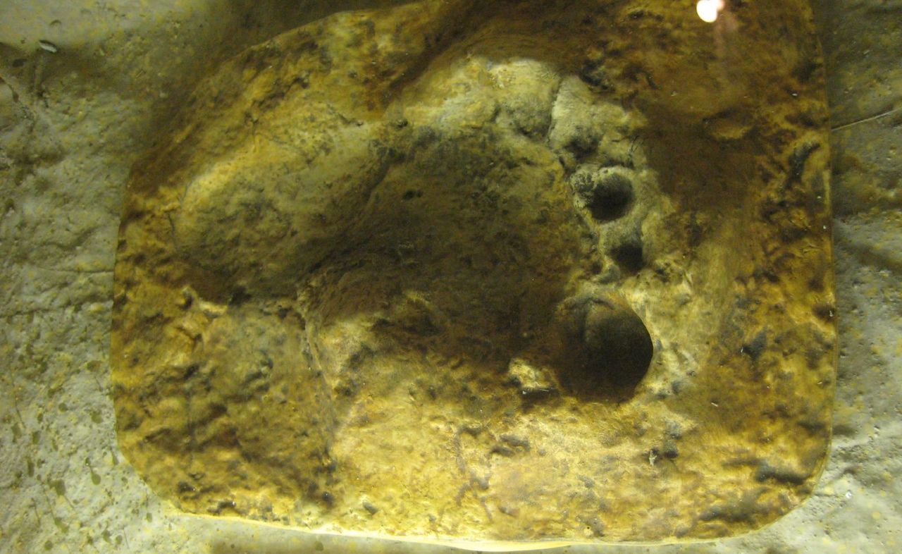 Ślad stopy Neandertalczyka (z Jaskini Basura we Włoszech) sprzed 14 tys. lat