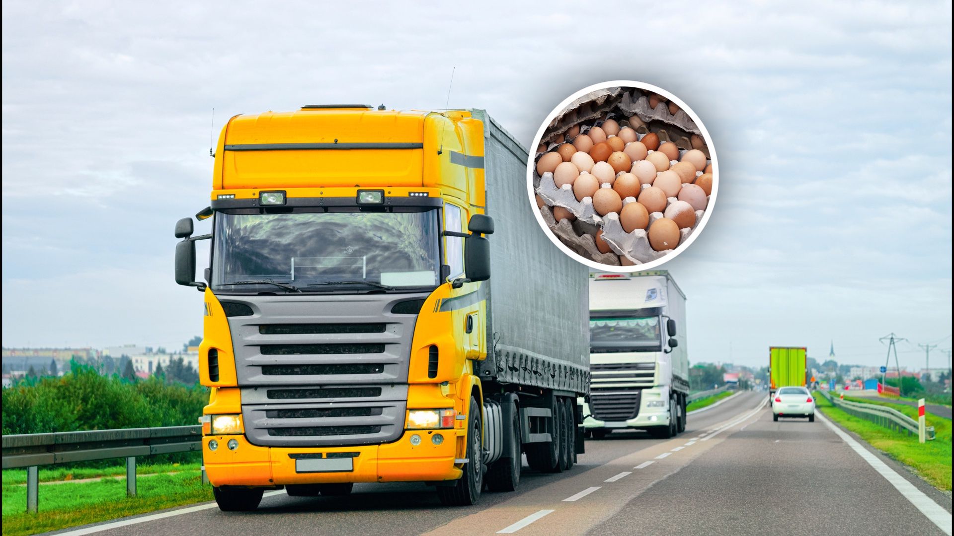 Zatrzymali transport z Ukrainy. Oto co miało trafić do Polski