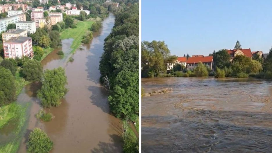 Sytuacja w Szprotawie