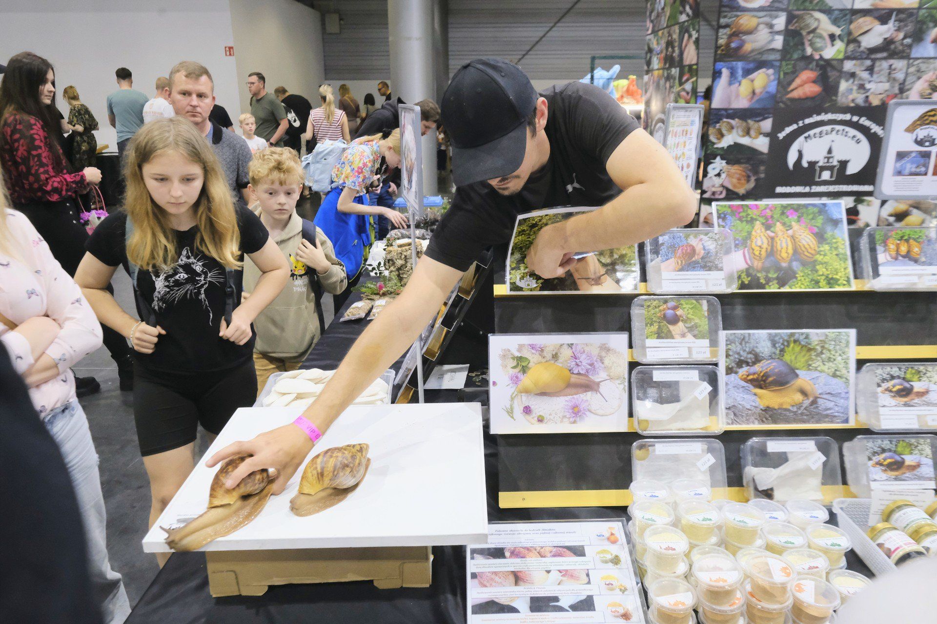 Exotic Fest 2025 na MTP w Poznaniu