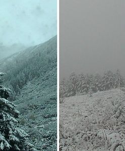 W Tatrach jest już zima. Śnieg pokrył góry