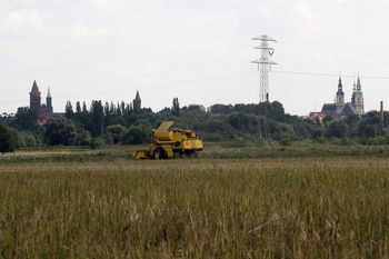 Zwrot akcyzy zostaje. Nowe rozwiązanie to zbyt duże koszty