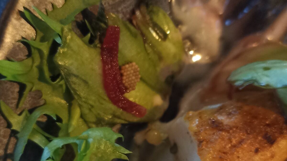 Jaja robaka na sałacie w sałatce zamówionej w restauracji Brejdak Burger