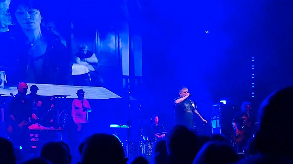 Kazik Staszewski podczas koncertu