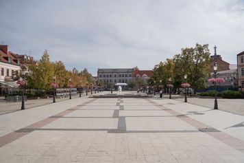 Więcej zieleni na Starym Rynku w Płocku. Przebudowa za ponad 2,1 mln zł