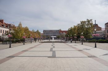 Więcej zieleni na Starym Rynku w Płocku. Przebudowa za ponad 2,1 mln zł
